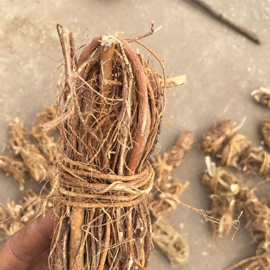 贺州五指毛桃小扎把一斤十二把左右