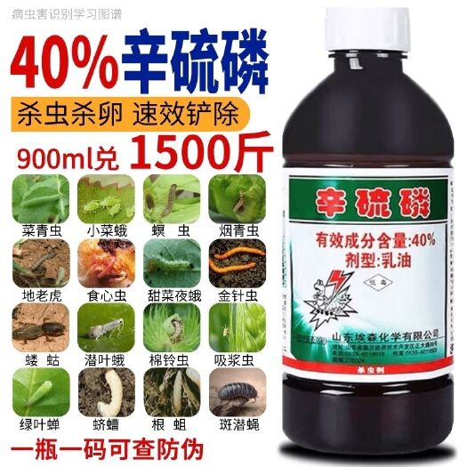 郑州辛硫磷蚜虫蓟马菜青虫食心虫蛴螬地下害虫果树花卉蔬菜农药杀虫剂