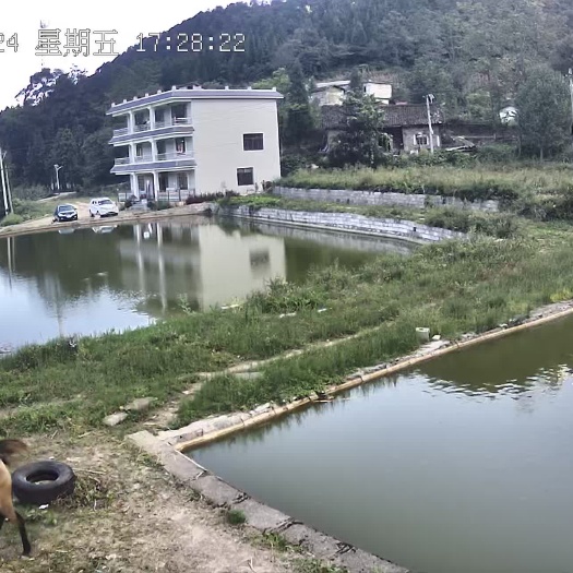 福泉市农家乐场地出租