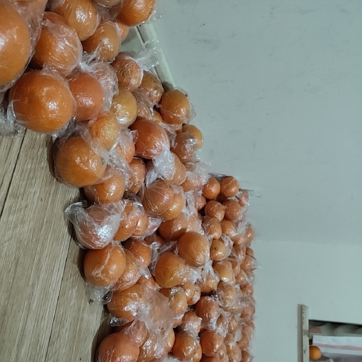 重庆市广柑