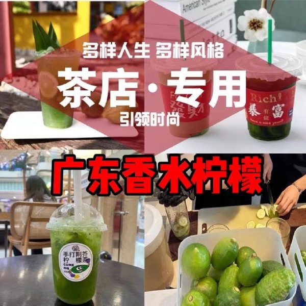 【现摘现发】广东无籽香水柠檬爆香一级 二级果-奶茶店同款专用