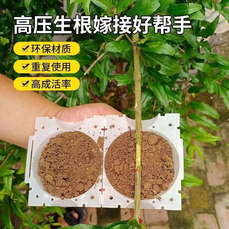 苗木高压繁殖盒嫁接生根器高空压枝植物高压盒繁殖球