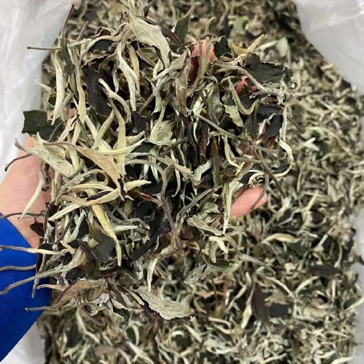潍坊云南月光白白茶，一芽一二叶，口感爽甜，芽叶肥厚，甜度高。