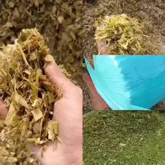 宿州玉米，秸秆，青储黄储，一手货源，保质保量，产地直销，牛羊草料