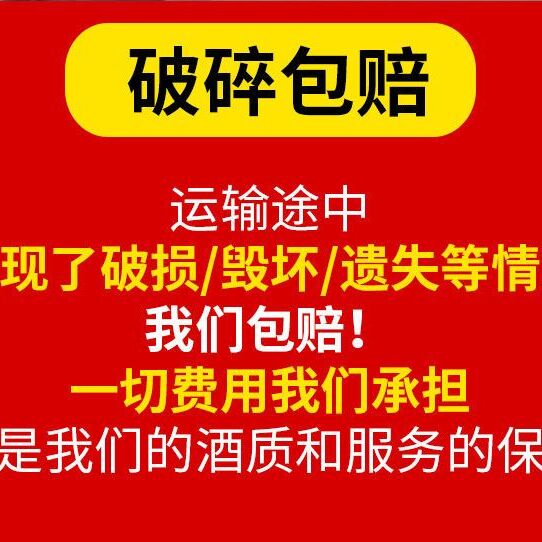 靖州特产杨梅酒5斤装10度梅子酒女士酒酿微醺果酒少女低度水果