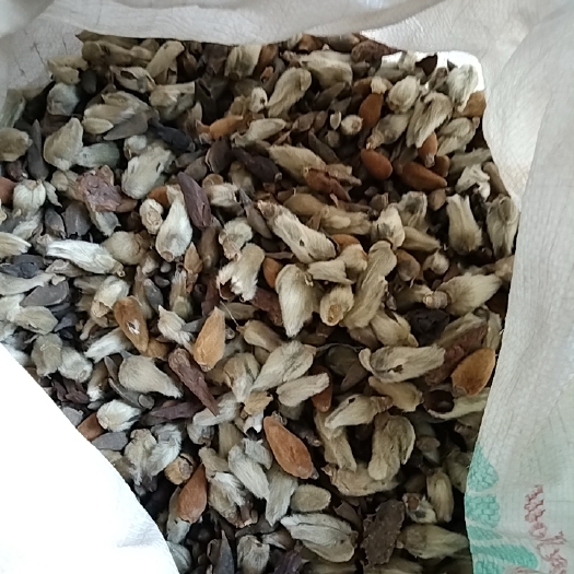 光山县辛夷花 干货5斤起售