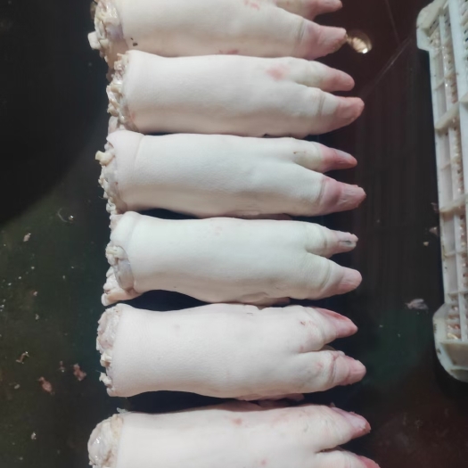 阜阳猪蹄鲜品