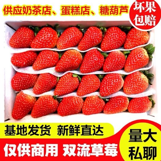 会泽县金鑫草莓种植基地，夏季草莓已少量上市，发往全国各地