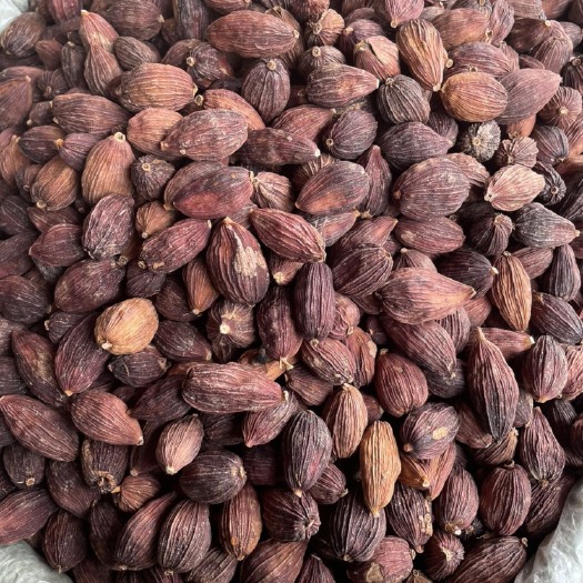 昆明云南红草果 电烤草果