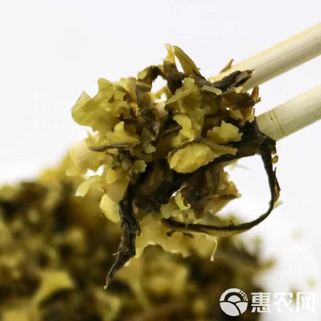 雪菜整箱净重10斤雪里红咸菜腌制酱菜酸菜包子馅菜下饭开胃菜批