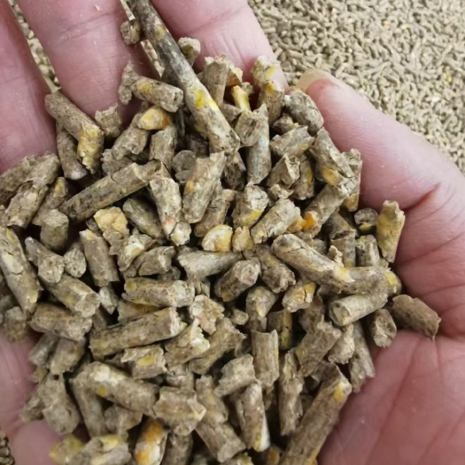 正定县玉米颗粒厂家直销鸡鸭鹅猪牛羊饲料原料量大从优全国发货