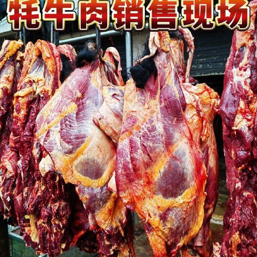 牦牛肉青藏高原正品牦牛肉牛肋骨里脊肉牛腩牛腱牛腿肉新鲜牦牛肉