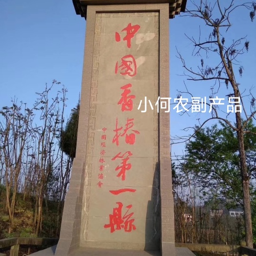 大竹县大竹红油香椿芽，专业对接贵州湖北陕西湖南等周边拖板车大军