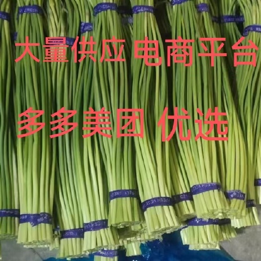 金鄉(xiāng)縣紅帽蒜薹電商平臺大量供應，產(chǎn)地直發(fā)天天有