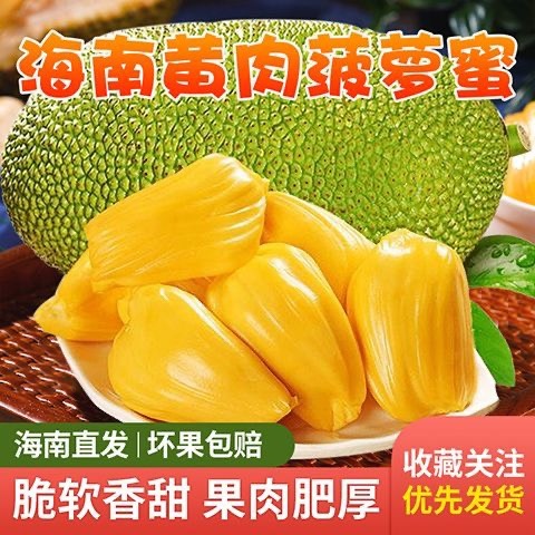 海口海南包邮黄肉菠萝蜜一整个新鲜水果大树木菠萝波罗蜜应季整