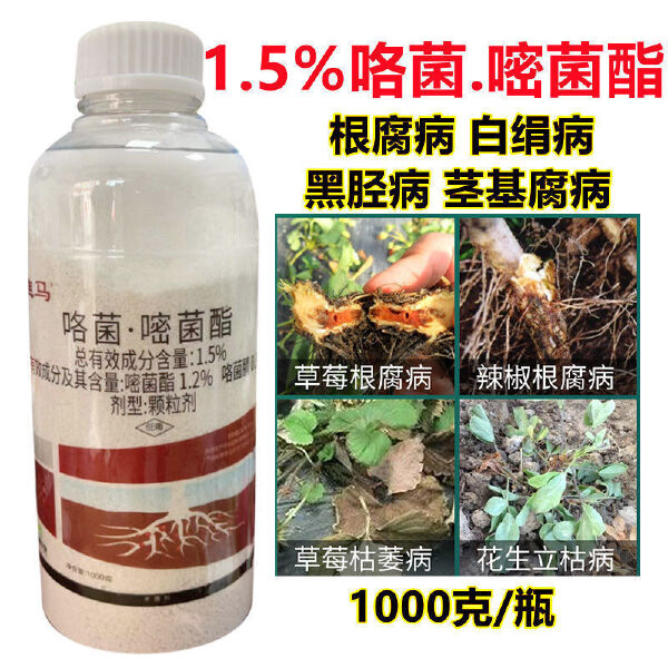 咯菌腈嘧菌酯颗粒剂根腐病死苗烂根茎基腐土壤消毒杀菌剂大蒜生姜