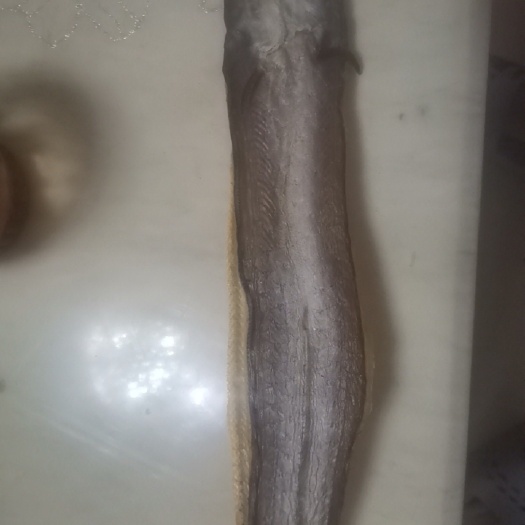 珠海海产干货