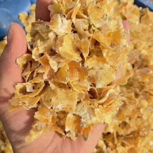 正定县压片玉米