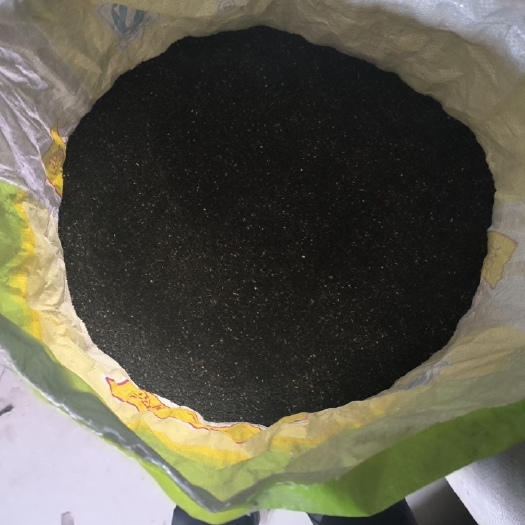 万荣县黄芩种子