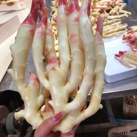 乐业县广西仔姜，现挖现发，保证新鲜。保质保量，一手货源，全国发货。