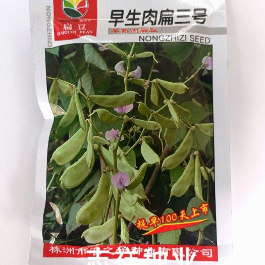 长沙农之子早生肉扁三号扁豆种子，10克