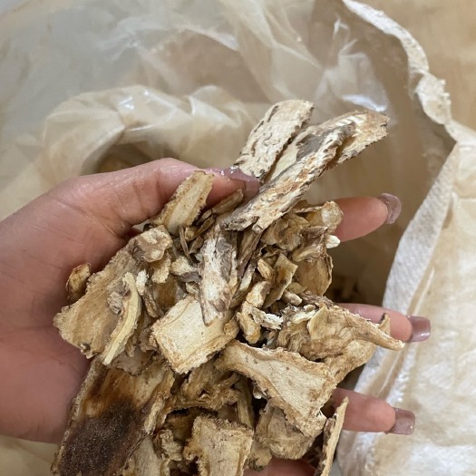 兰州当归头片切片