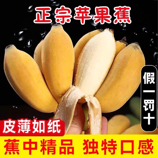 徐闻县苹果蕉一件代发