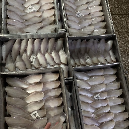 北海北海工厂一手马面鱼  耗儿鱼 扒皮鱼 货源稳定 价格有竞争力