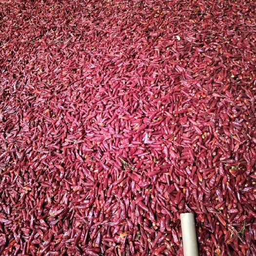 鄢陵县河南干辣椒，子弹头，辣度中等偏上，色泽红亮均匀，零花皮