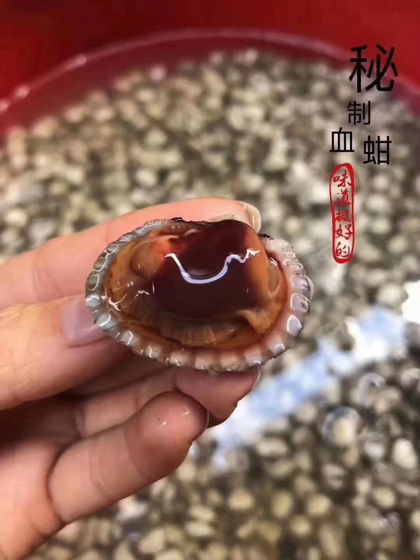 饶平血蛤花蛤鲜活泥蚶银蚶非毛蚶新鲜超大贝壳类