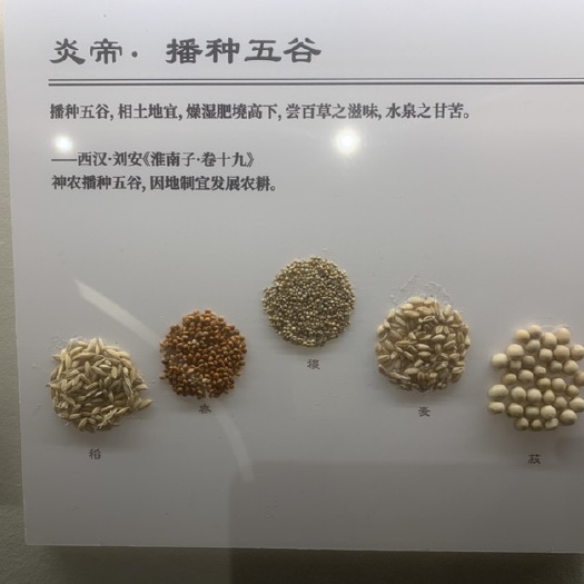 五谷