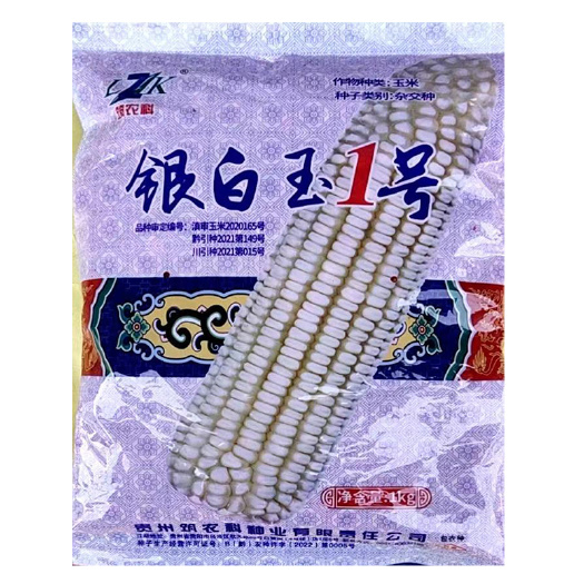 玉米种子散装发货银白玉1号杂交种净适宜云南贵州四川部分地区种