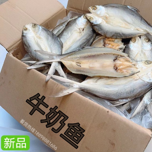 牛奶鱼干批发渔民自晒虱目鱼干货海鲜干货小鱼干鱼仔