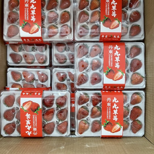 东港市丹东99草莓，口感香甜，原产地直发