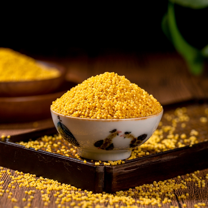 山西黄小米