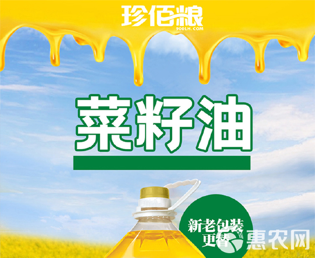 珍佰粮菜籽油5L（桶装）食用油 传统物理压榨