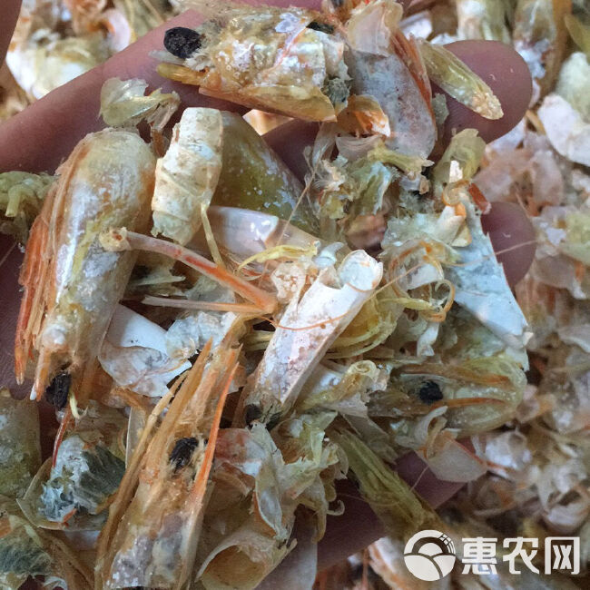 渤海湾饲料级虾糠，优等货源，质量保证