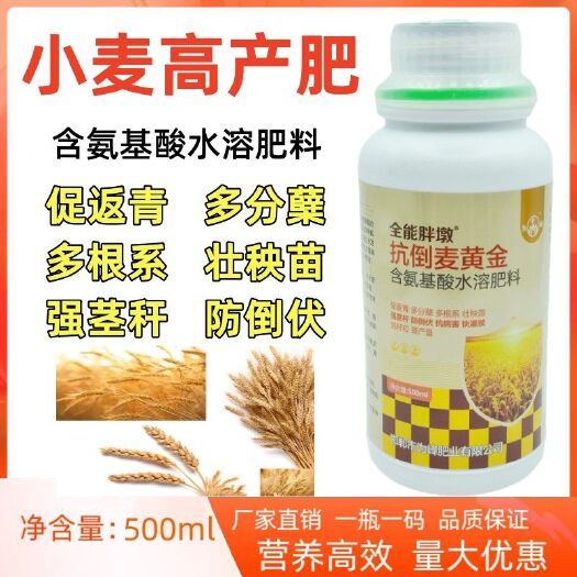 新沂市小麦高产专用叶面肥生根壮苗控旺增产分蘖抗倒伏缩节灌浆麦黄金