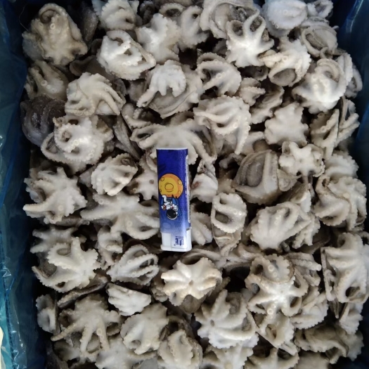 烟台章鱼  八爪鱼盐磨三去八爪，四个规格