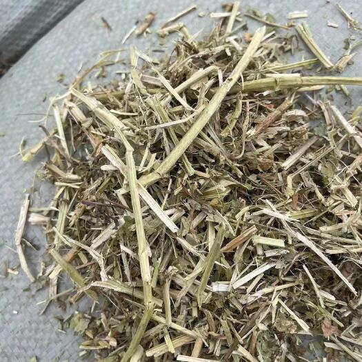 正阳县保证质量的花生秧
