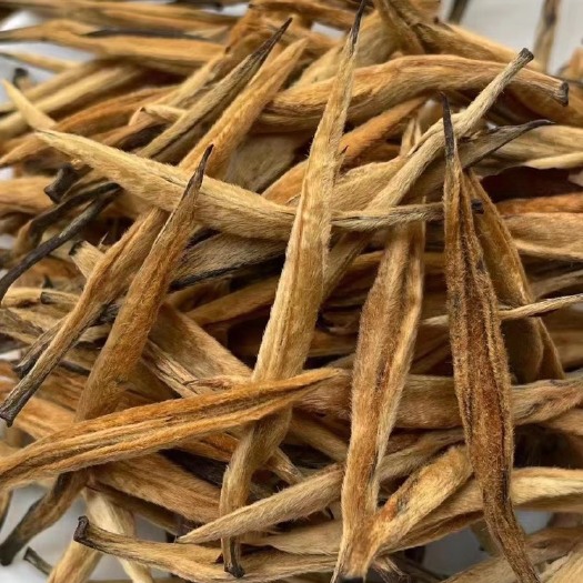 2023年红茶 早春大金针红茶 新茶云南凤庆滇红茶大金针茶叶