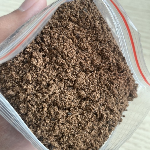 青岛棕榈粕  1:1代替麸皮
