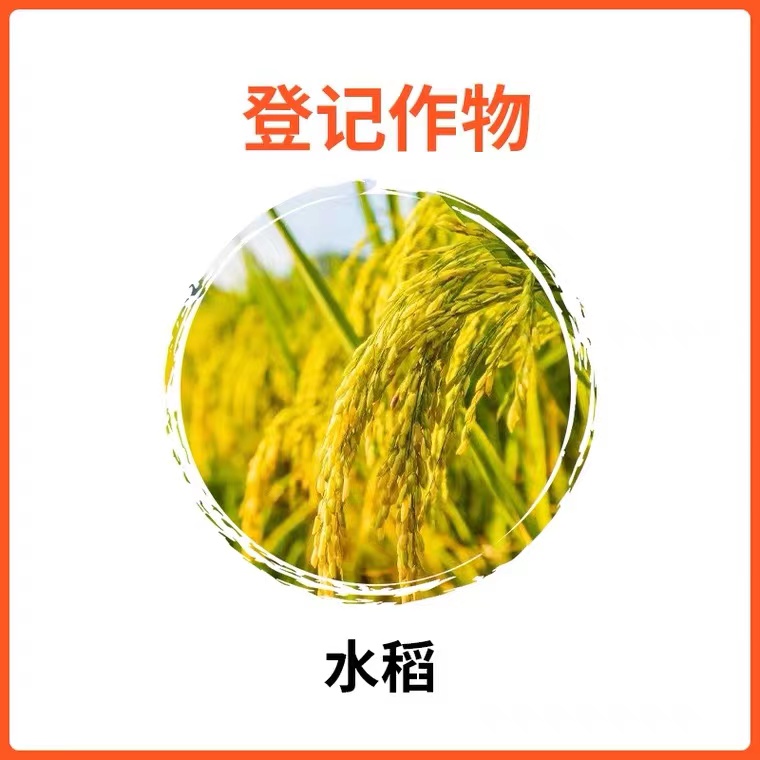 一帆六清30%苯甲丙环唑纹枯病炭疽病黑星病小麦水稻蔬菜杀菌剂