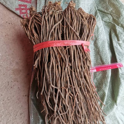 钟山县威灵仙