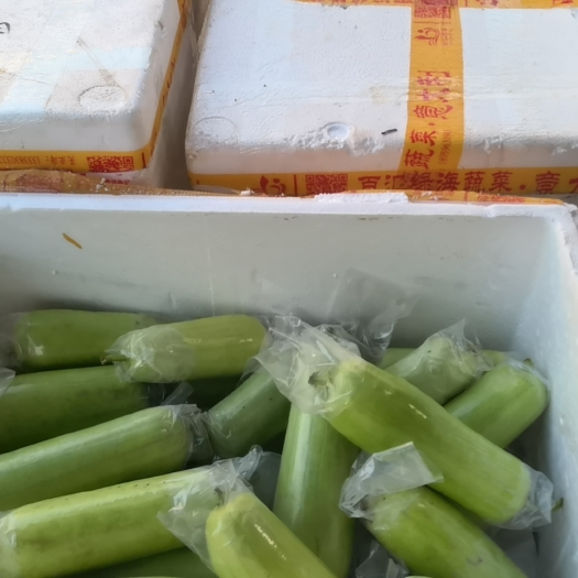 东莞市蔬菜丝瓜