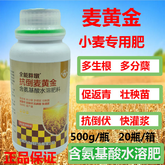 新沂市麦黄金小麦专用肥快灌浆抗倒伏矮壮生根多分蘖多颗粒饱满提产量