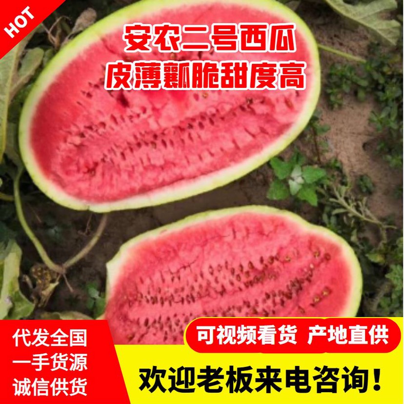 劉陽(yáng)生鮮果蔬