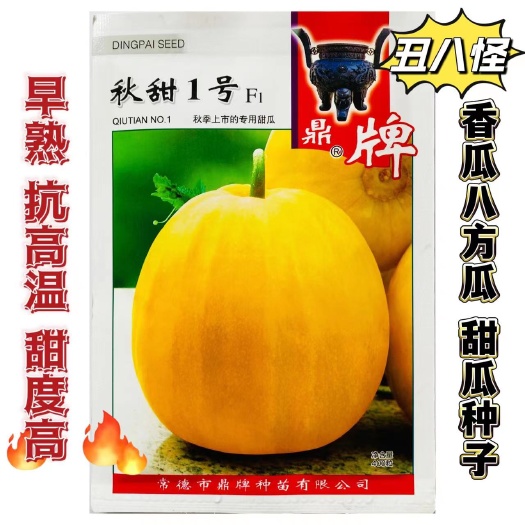 鼎牌甜瓜种子秋甜1号秋季专用甜瓜抗高温高甜度肉质乳白奶香蜜瓜