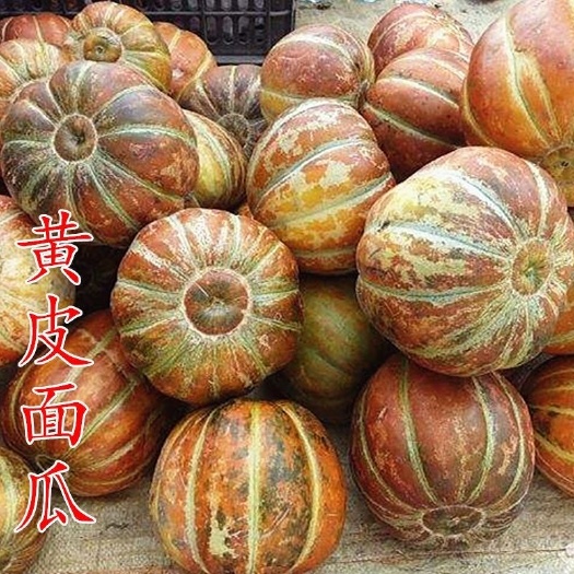 邵东市老品种面瓜种籽黄皮黑皮花皮面瓜种子露地生吃甜瓜种籽香瓜四季播