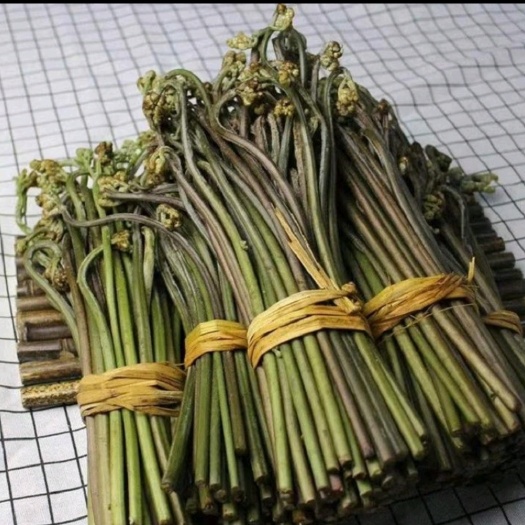 金沙县蕨菜